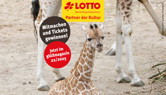 Rothschildgiraffe Mojo im Zoo Schwerin sowie Text - Mitmachen und Tickets gewinnen - Jetzt im glüXmagazin 22/25 und Logo LOTTO MV - Partner der Kultur