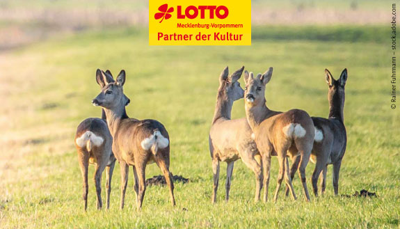 Landeswild- und Fischtage in Ludwigslust
