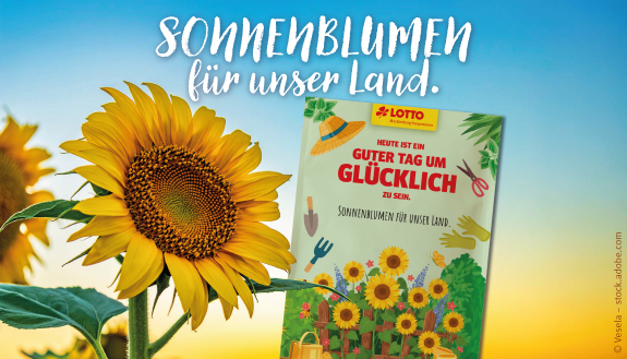 Sonnenblume und Blumensament&uuml;tchen vor leuchtendem Hintergrund