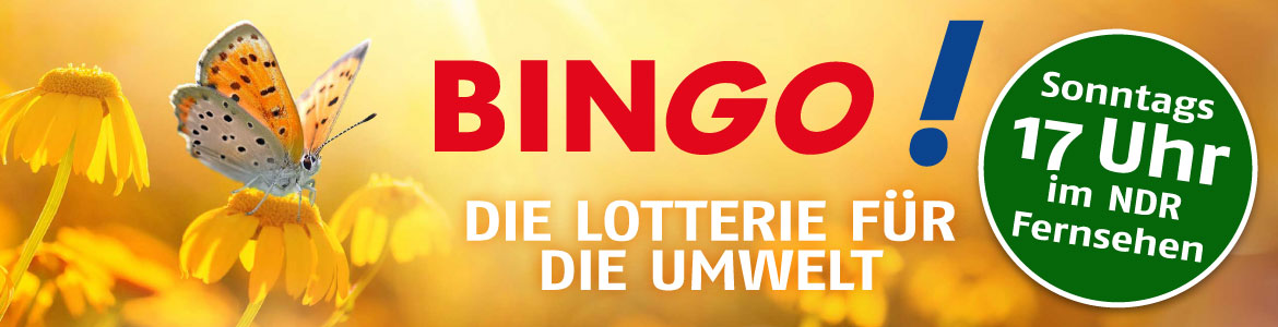 BINGO!-Logo und Schmetterling auf Bl&uuml;te