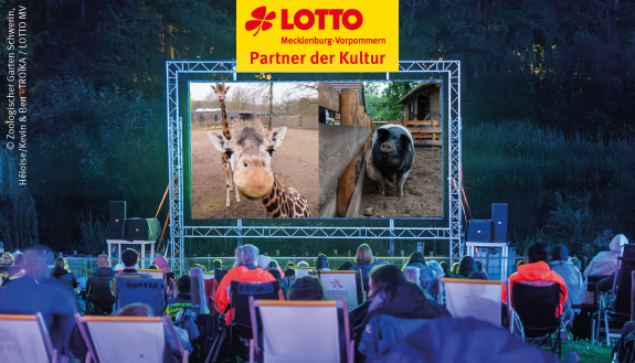 Zuschauer in Liegest&uuml;hlen vor Leinwand im Zoo Schwerin
