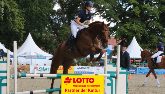 Frau beim Springreiten mit braunem Pferd