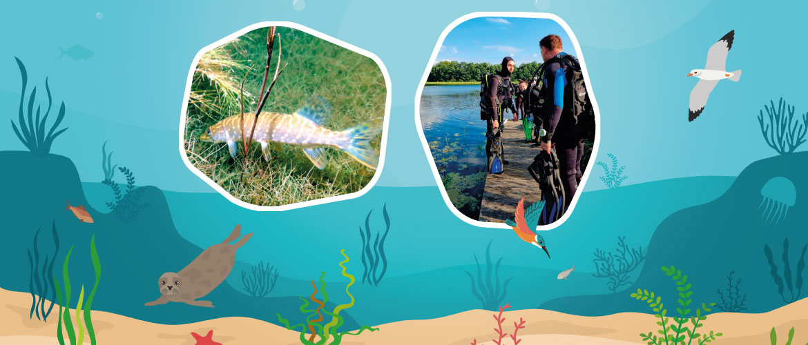 Zwei Bilder auf blauem Hintergrund. Ein Bild zeigt einen Fisch – einen Hecht. Das andere Bild zeigt Personen vor dem Tauchen. Der Hintergrund stellt Wasser dar. Hier werden Pflanzen und Tiere abgebildet.