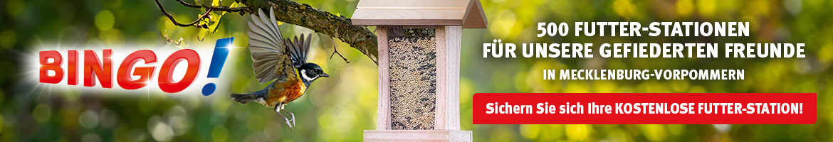 Vogel im Anflug auf Futterstation und Informationen zur Aktion