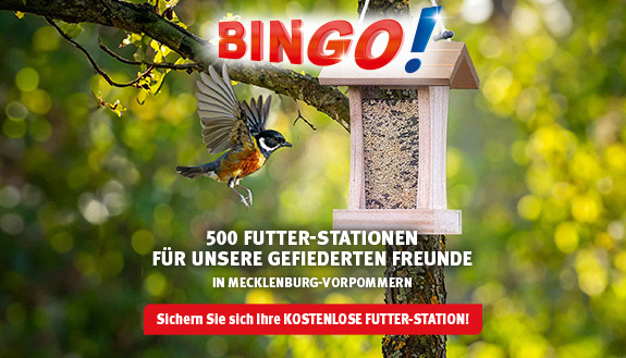 Vogel im Anflug auf Futterstation und Informationen zur Aktion