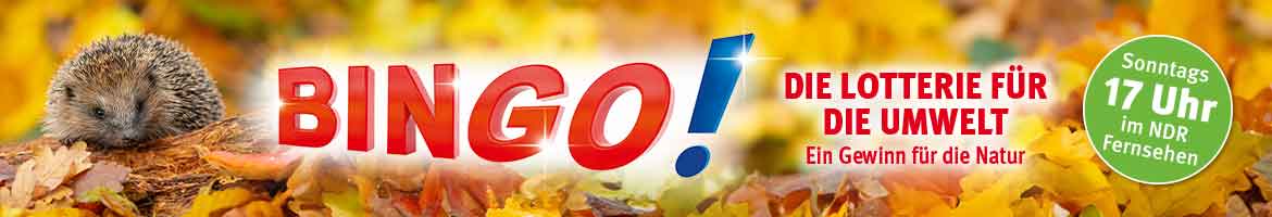 BINGO! Logo und Text - Die Lotterie für die Umwelt - Ein Gewinn für die Natur - Sonntags 17 Uhr im NDR Fernsehen - sowie Igel in Herbstlandschaft