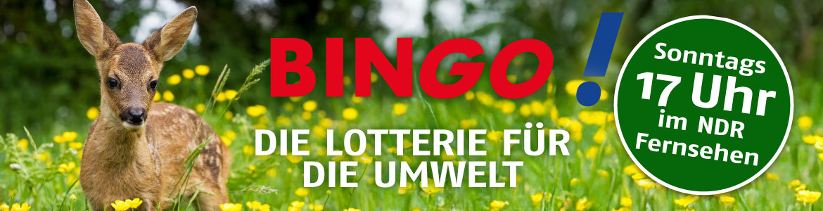 BINGO!-Logo und Reh auf einer Wiese
