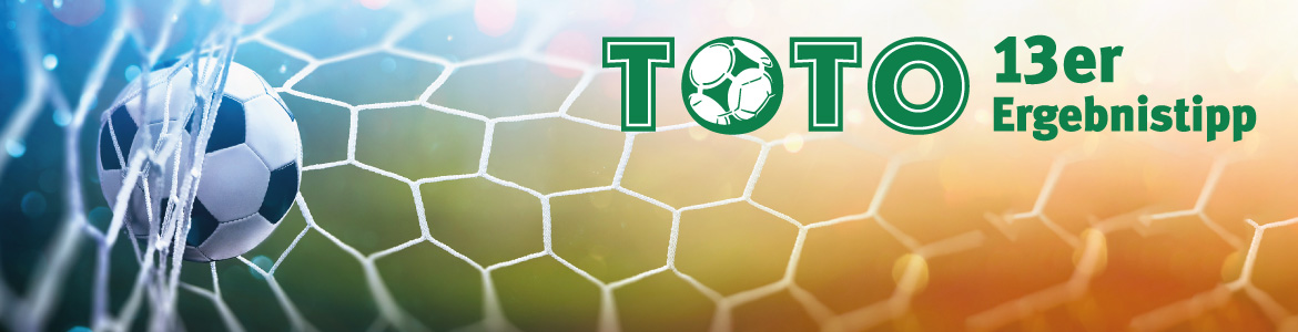 Fu&szlig;ball im Netz